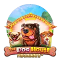 Dog House Megaways slot at Supabet Casino